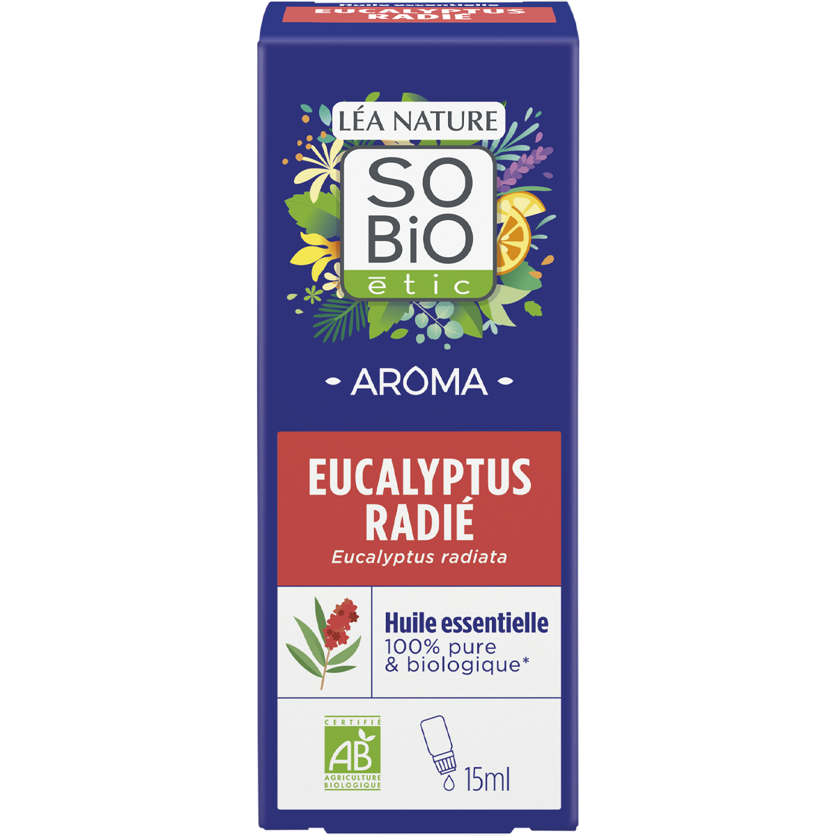 Huile Essentielle d'Eucalyptus Radié Bio *Purifiante*