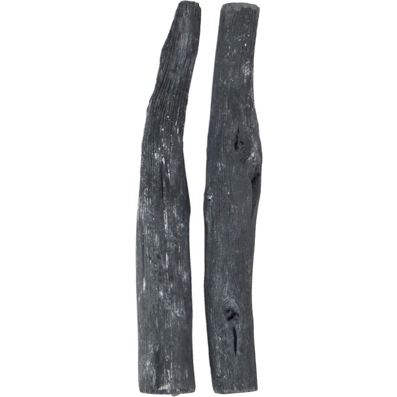 Lot de 2 charbons actifs
