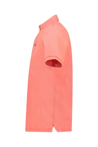 $Polo - Corail