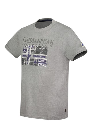 $T-shirt - Gris chiné