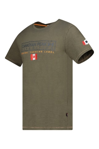 $T-shirt - Kaki