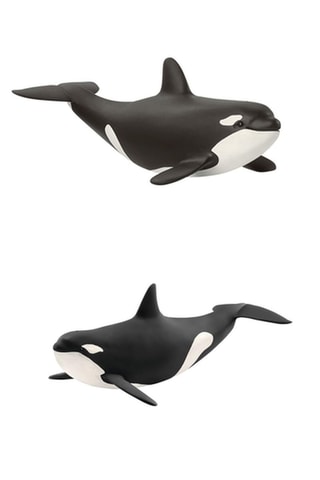 $Orque Wild Life et jeune orque - Dès 5 et 3 ans