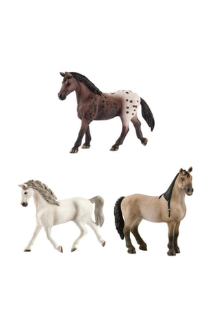 $Jument Criollo Definitivo Horse,  Jument Holstein Horse Club et Jument Appaloosa Horse Club - Dès 3 et 5 ans