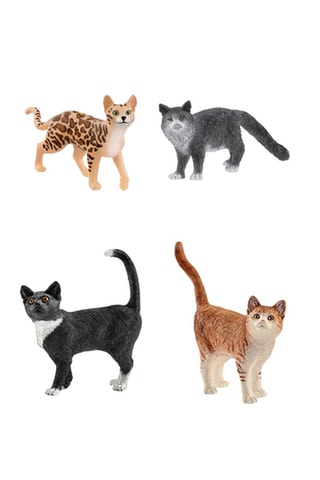 $Chat debout, chat bengal, chat Maine Coon et chat Farm World - Dès 3 ans