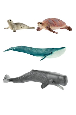 $Phoque, baleine bleue, tortue de mer et grand cachalot Wild Life - Dès 3 ans