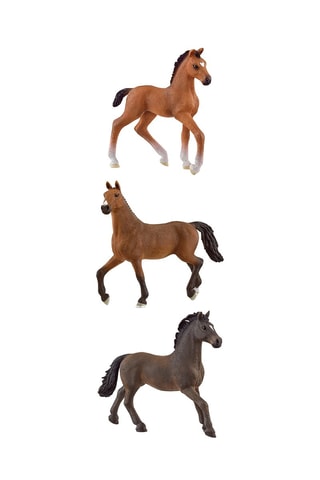 $Etalon, jument et poulain Oldenbourg Horse Club - Dès 5 ans