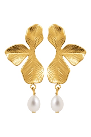 $Boucles d'oreilles - Doré