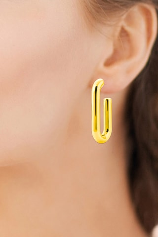 $Boucles d’oreilles - Doré
