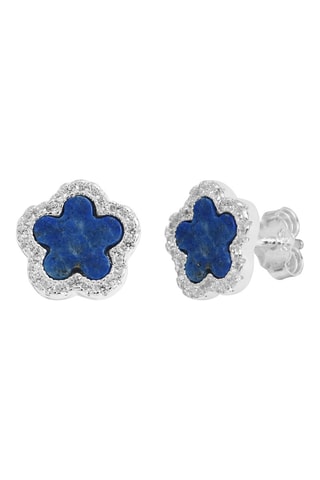 Puces Argent et lapis-lazulis