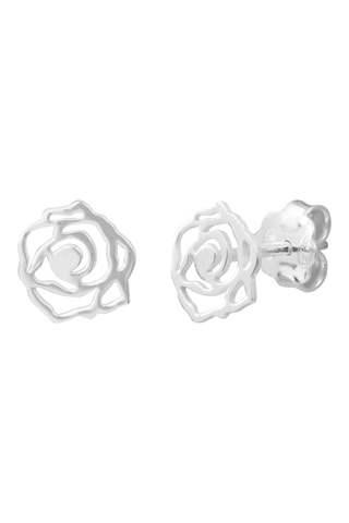 Puces - Argent