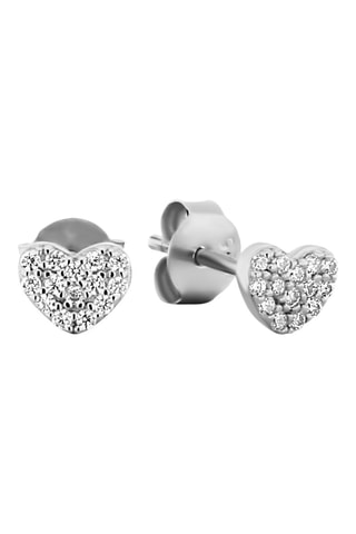 Puces Argent