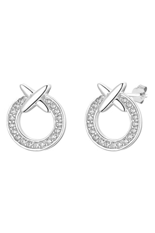 Puces Argent