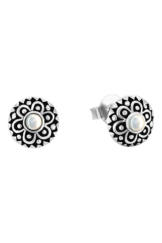 Puces Argent et nacre