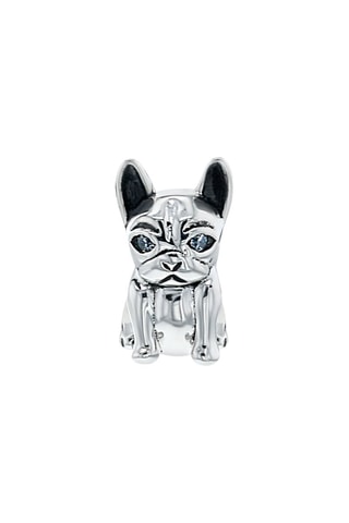 Charm Argent
