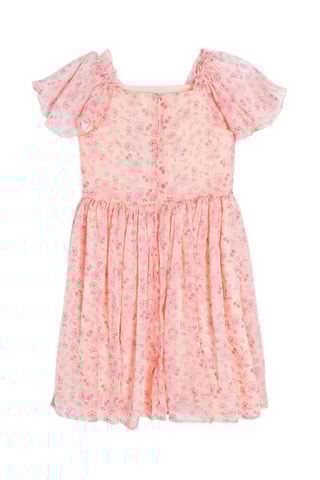 $Robe Rose