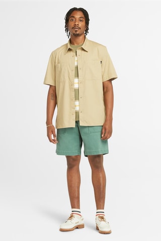 $Chemise Windham - Marron clair