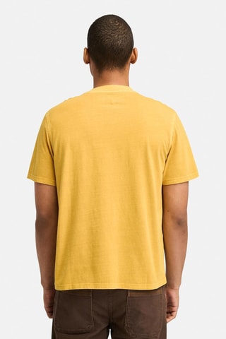 $T-shirt Merrymack - Jaune
