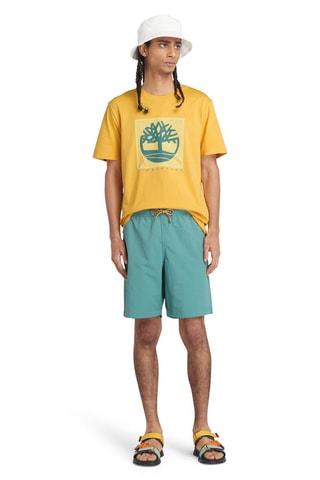 $T-shirt - Jaune