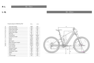 $VTT électrique EMTB - Gris et noir