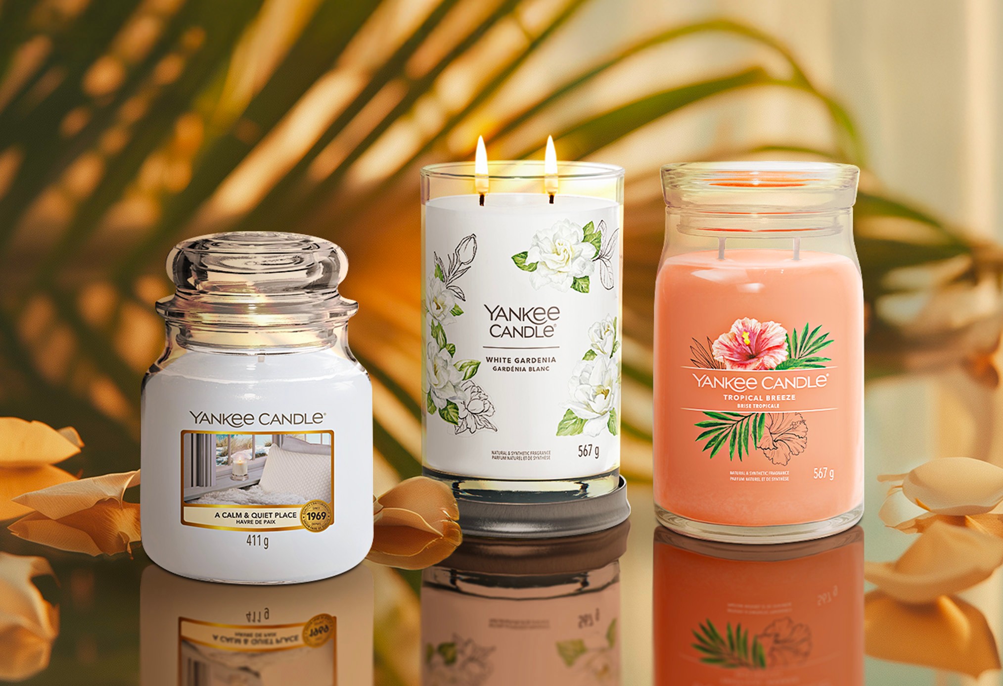YANKEE CANDLE à bas prix sur SHOWROOMPRIVÉ