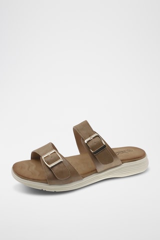 $Mules - Camel