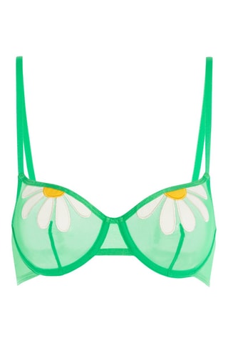 $Soutien-gorge Joyliz - Vert