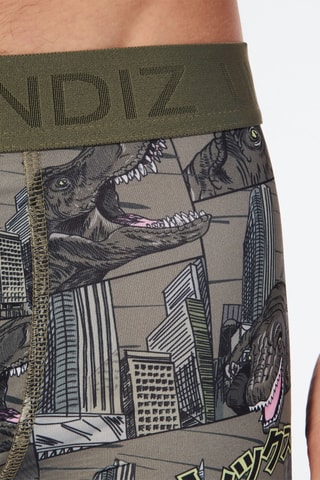 $Boxer Repeatiz - Vert émeraude et gris