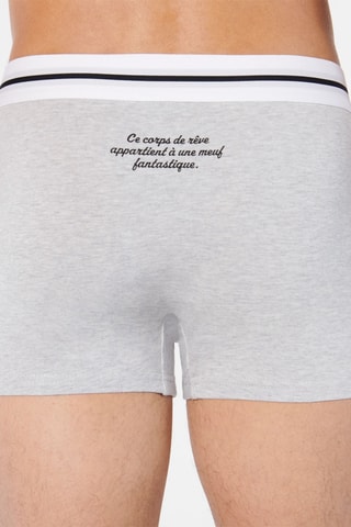 $Boxer Cecorpiz - Gris chiné