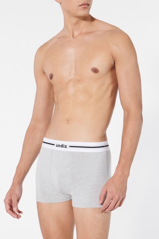 $Boxer Cecorpiz - Gris chiné