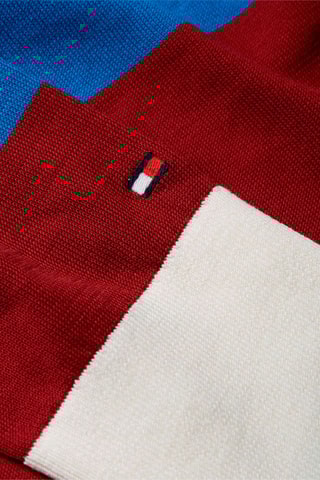 $Polo Bordeaux et bleu cobalt