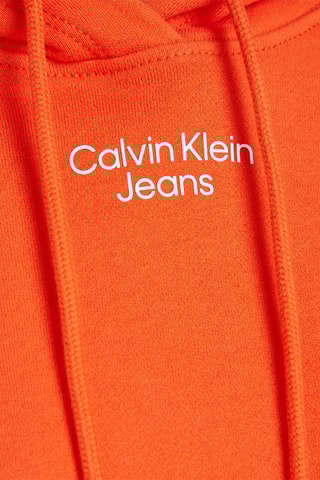 $Sweat à capuche Orange