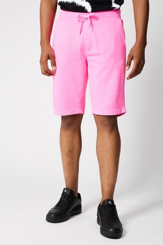 $Bermuda Rose