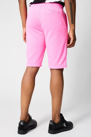 $Bermuda Rose