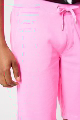 $Bermuda Rose