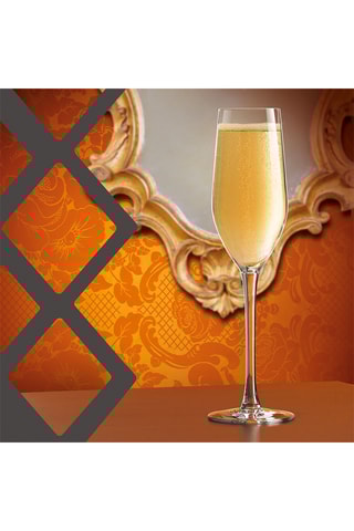 $6 flûtes à champagne en cristallin Expert - 16 cl