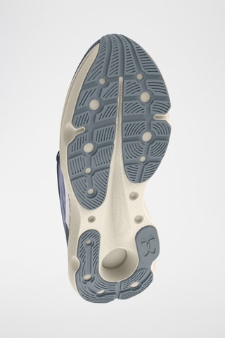$Chaussures de course HOVR™ Infinite Pro Breeze -  Gris