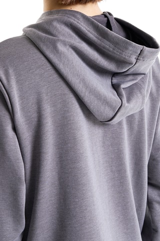 $Sweat à capuche Gris
