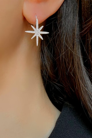 $Boucles d'oreilles - Argent