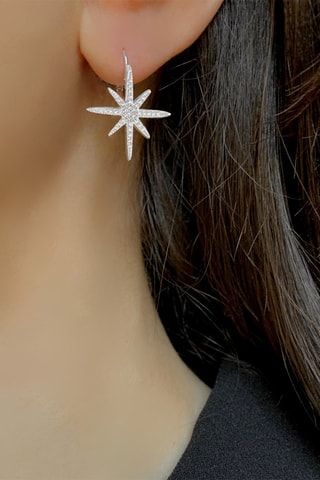 $Boucles d'oreilles - Argent