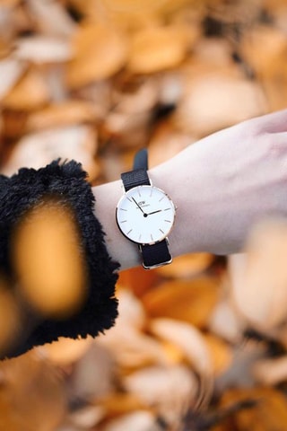 $Montre à quartz en acier inoxydable plaqué or rose Petite Cornwall - 36 mm - Noir et doré rose