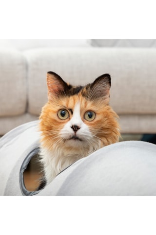 Tunnel pour chat 25 × 114 cm