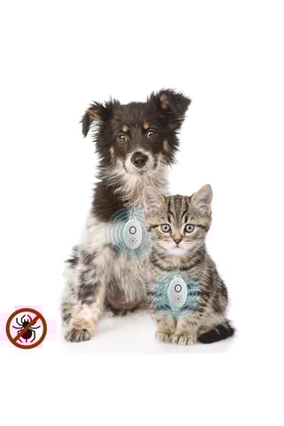 Répulsif anti-nuisible à ultrasons pour animaux
