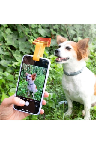 Clip pour selfie d'animaux de compagnie en silicone - Orange