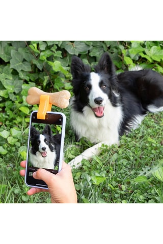 Clip pour selfie d'animaux de compagnie en silicone - Orange