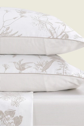 2 taies d'oreiller en satin de coton 80 fils/cm² Colibri floral - Taupe
