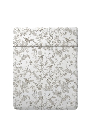 Drap plat en satin de coton 80 fils/cm² Colibri floral - Taupe