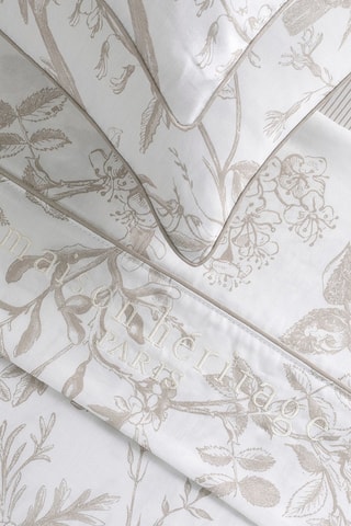 Drap plat en satin de coton 80 fils/cm² Colibri floral - Taupe