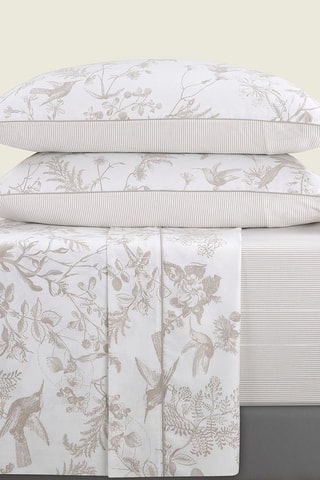 Parure de draps en satin de coton 80 fils/cm² Colibri floral - Taupe