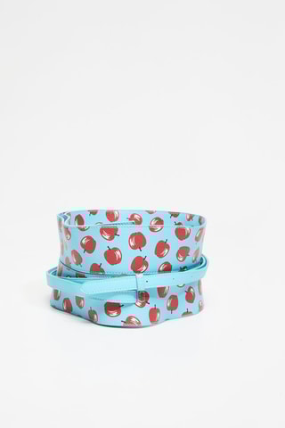 Ceinture - Bleu et rouge