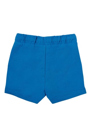 Short Ocean Wonders - Bleu